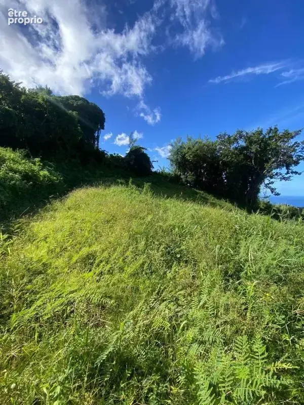Terrain le morne vert - photo 2