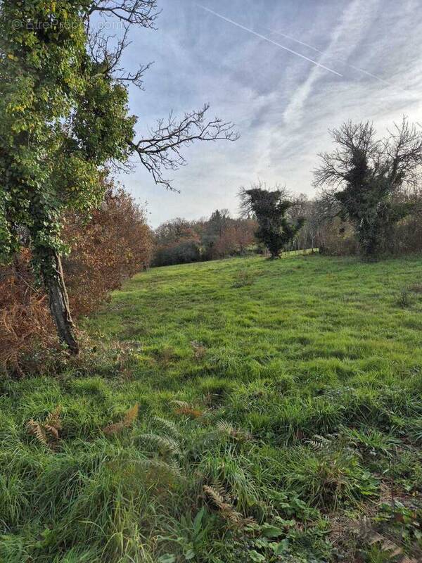Terrain à LESSAC