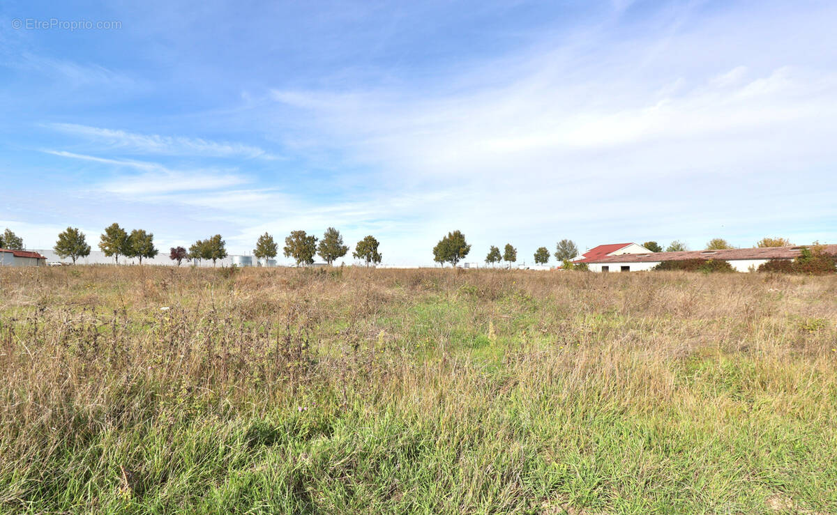 Terrain à LA RIVIERE-DE-CORPS