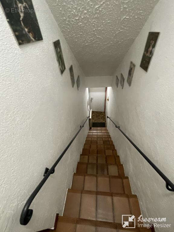 Commerce à VILLENEUVE-LOUBET