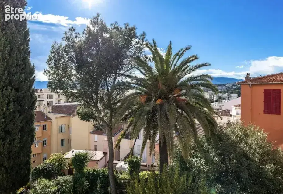 Cannes banane - 2 pieces renove - photo 3