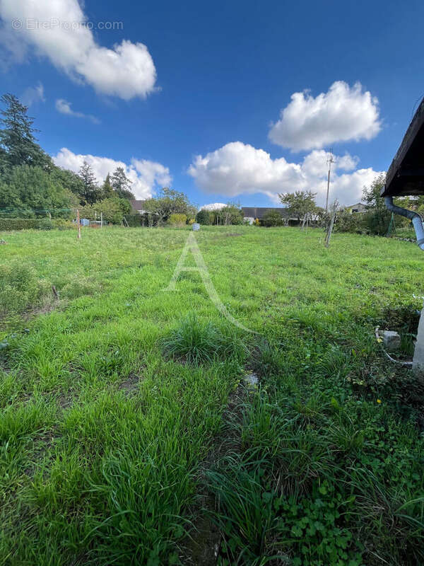 Maison à CHATEAU-RENAULT