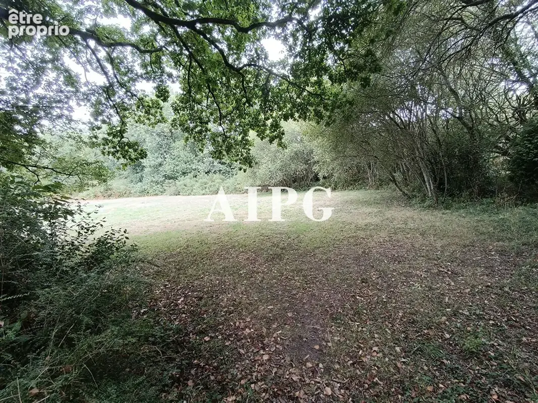 Saint-Aignan, longère à vendre - photo 16