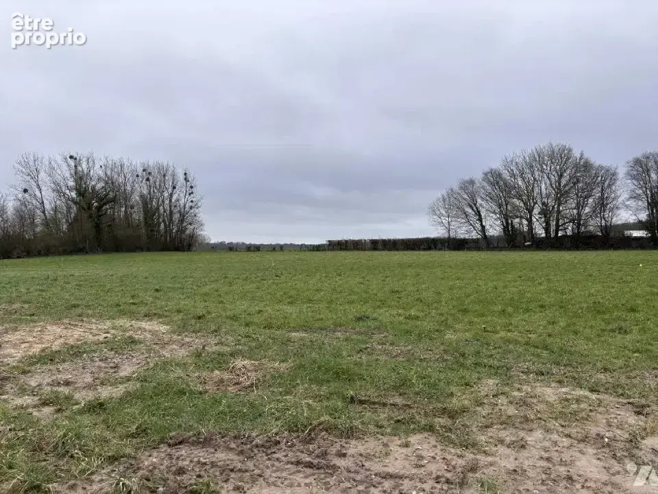 Terrain à CRECY-EN-PONTHIEU