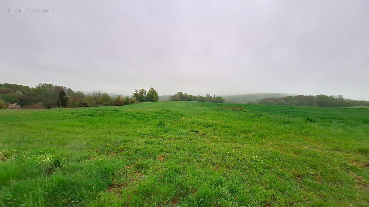 Terrain à COURCELLES