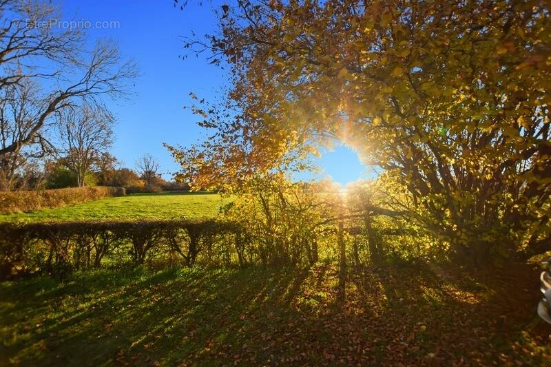 Maison à SAINT-EMILAND