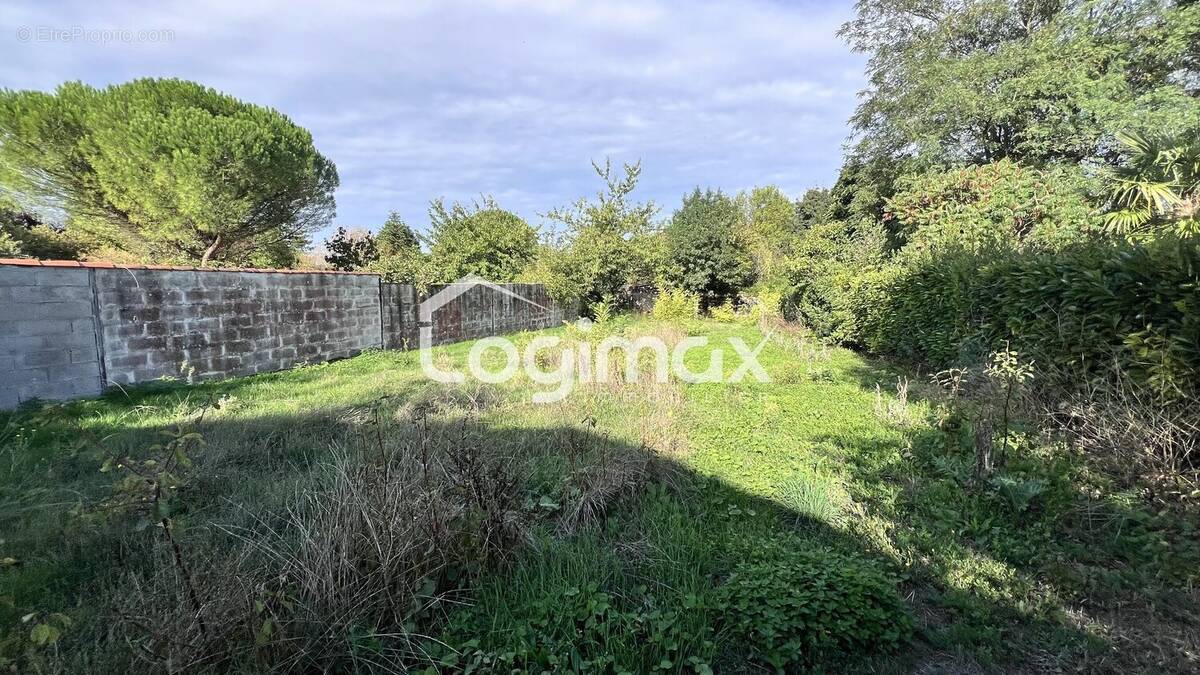 Commerce à LA ROCHELLE