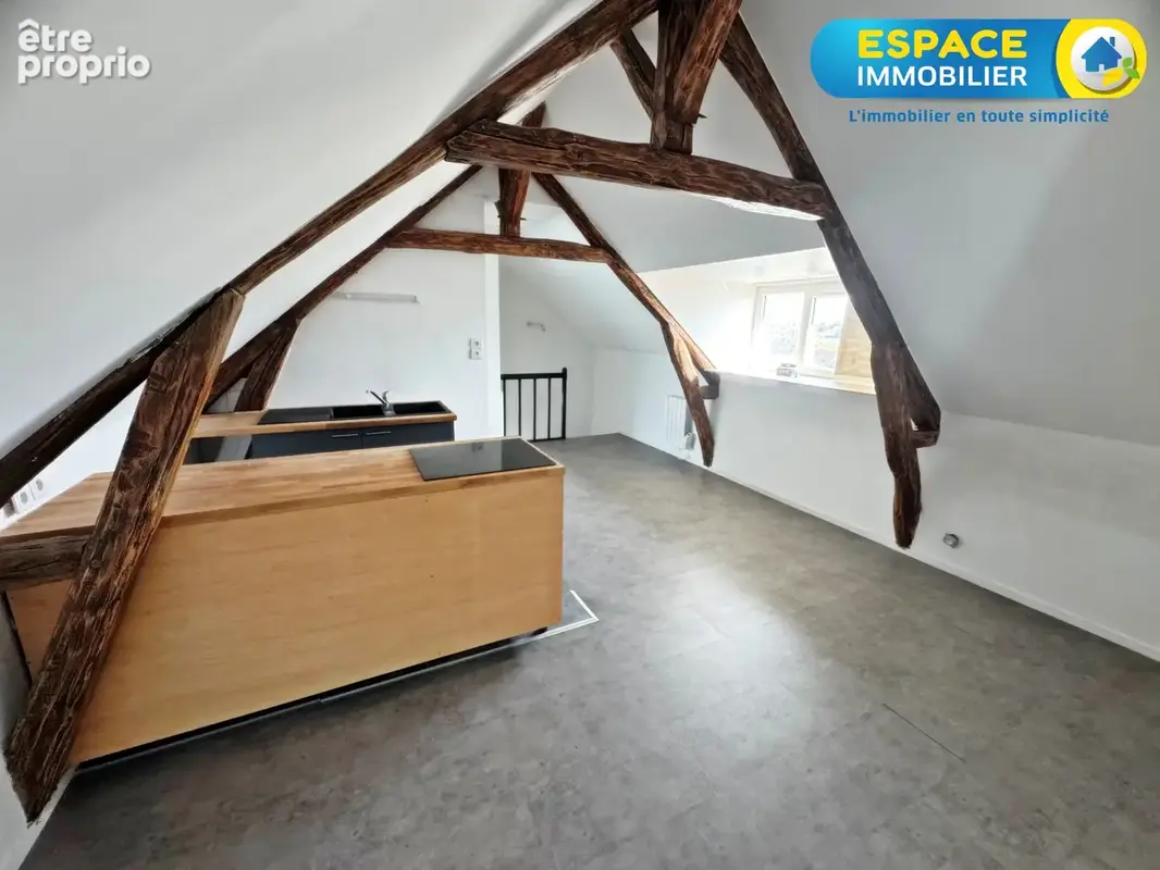 EXCLUSIVITE ! Hyper centre de Châteauneuf-sur-Loire - Appartement T2 - photo 2