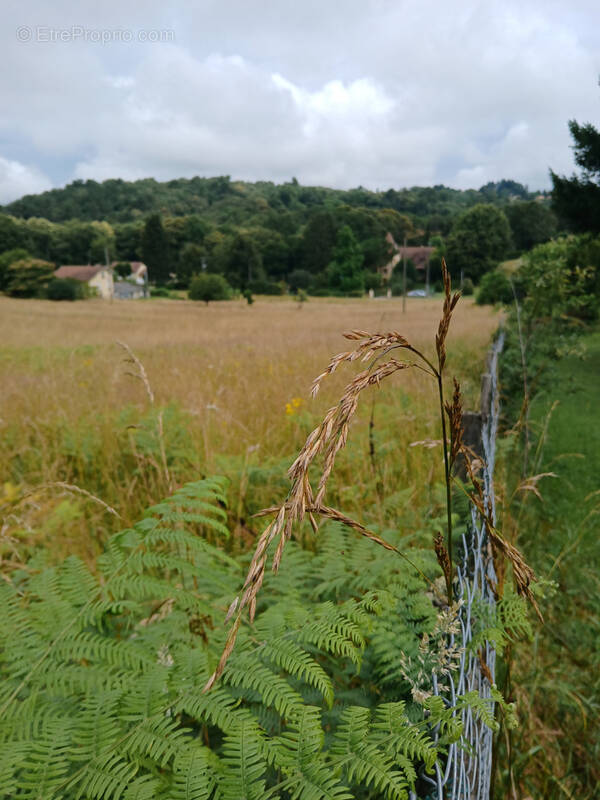 Terrain à SARLAT-LA-CANEDA
