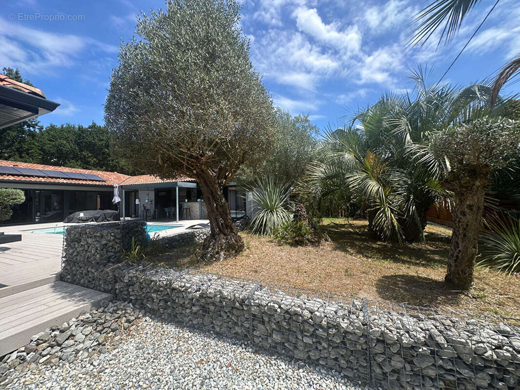 Maison à SOUSTONS
