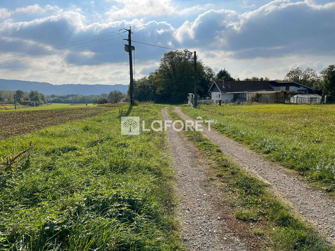 Maison à LONS-LE-SAUNIER