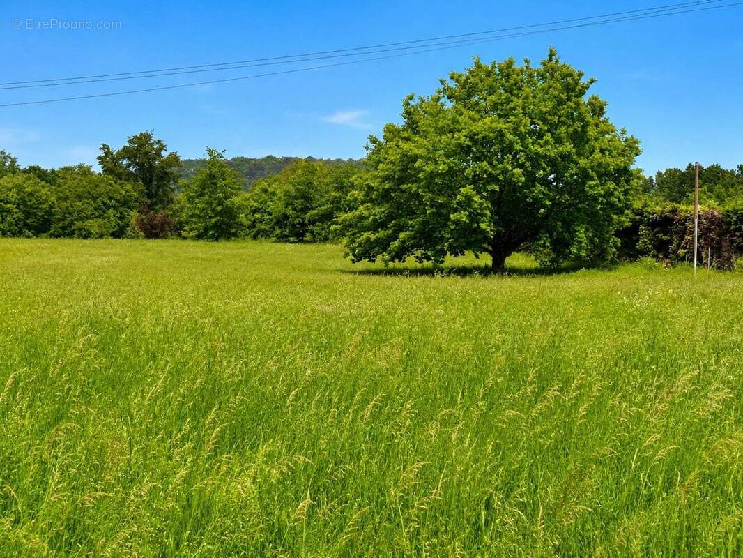 Terrain à RAZAC-SUR-L'ISLE