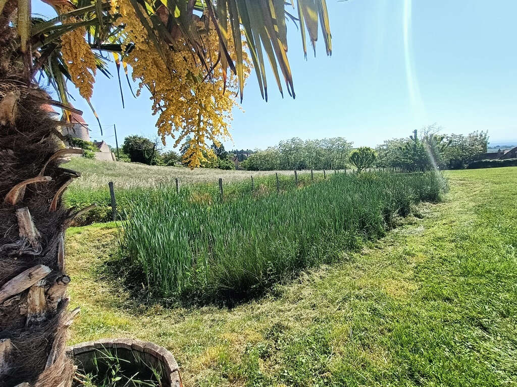 Longere renovee - photo 11