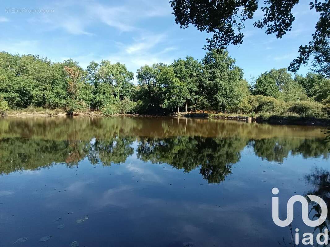 Photo 3 - Terrain à BORD-SAINT-GEORGES