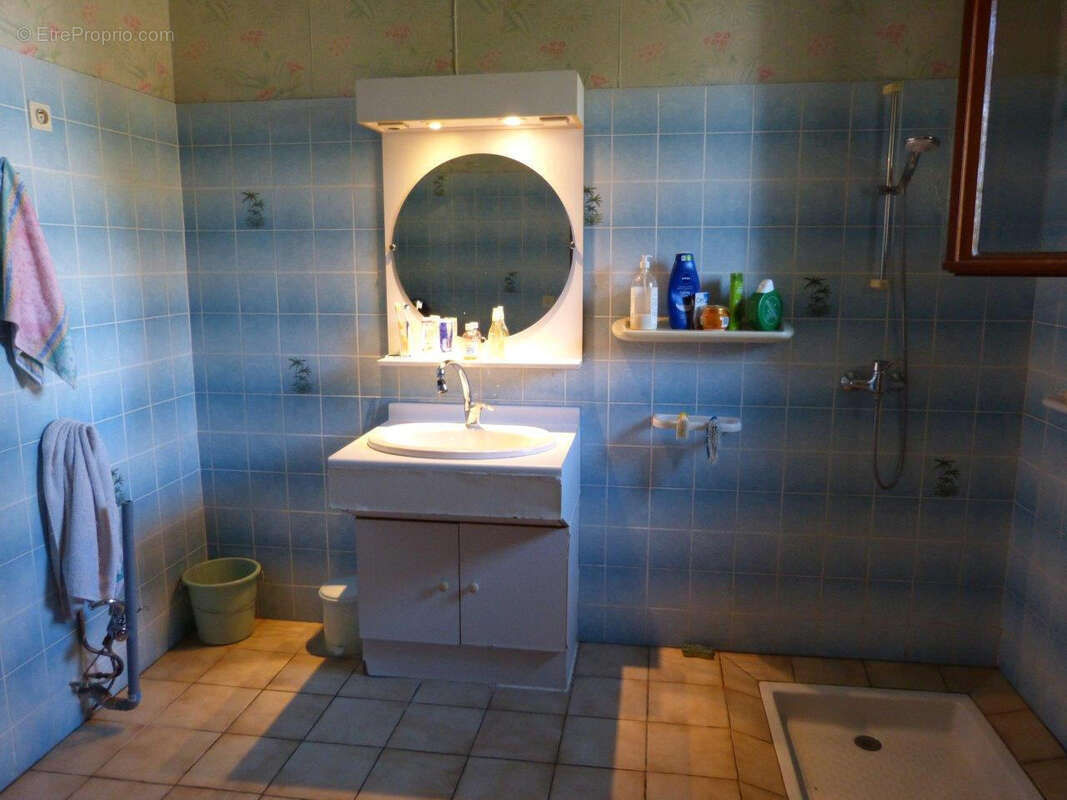 À vendre, proche de Castelnau Magnoac (Hautes Pyrénées): Ferme gasconne des années 1750 avec 3 chambres ; granges avec atelier,  - photo 18