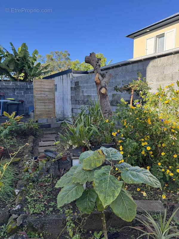 Photo 3 - Maison à LE TAMPON