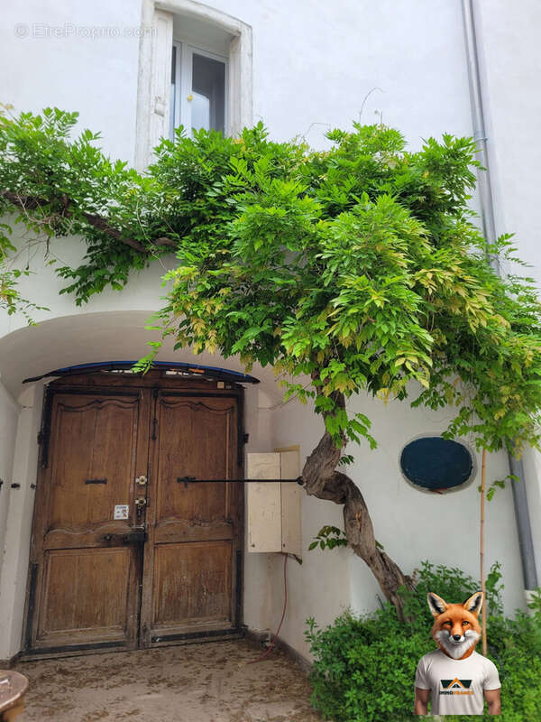 Maison à ILLE-SUR-TET