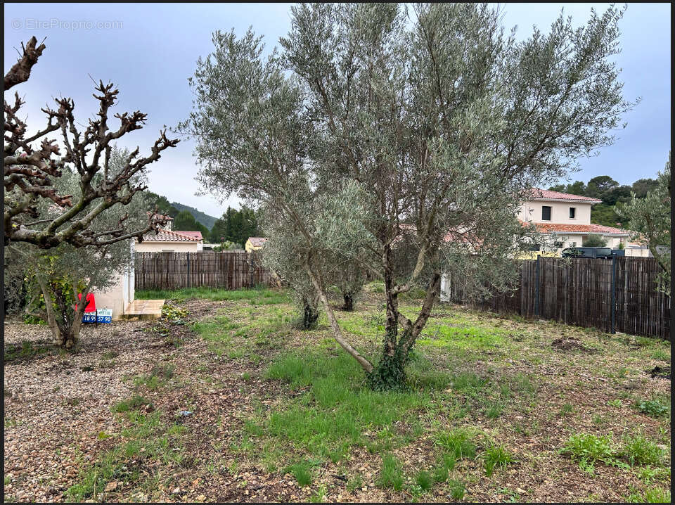 Terrain à CLERMONT-L'HERAULT