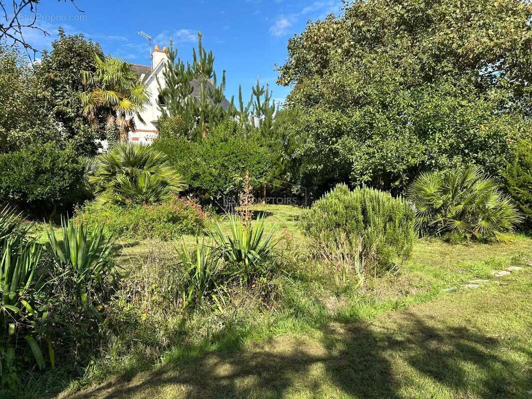 Terrain à SAINT-NAZAIRE