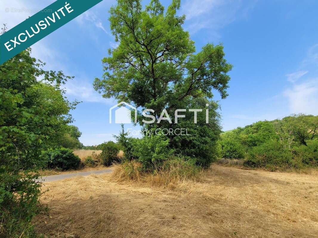 Terrain 12037 m² à Salives  - photo 6