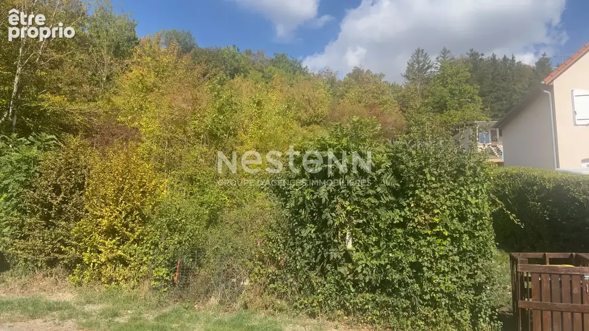 BAR-LE-DUC terrain de loisirs de 2915m² avec maisonnettes de 4 m² et 9 m² - photo 3