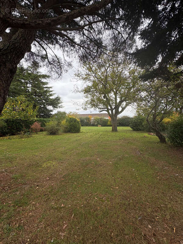 Maison à SAINT-VITE