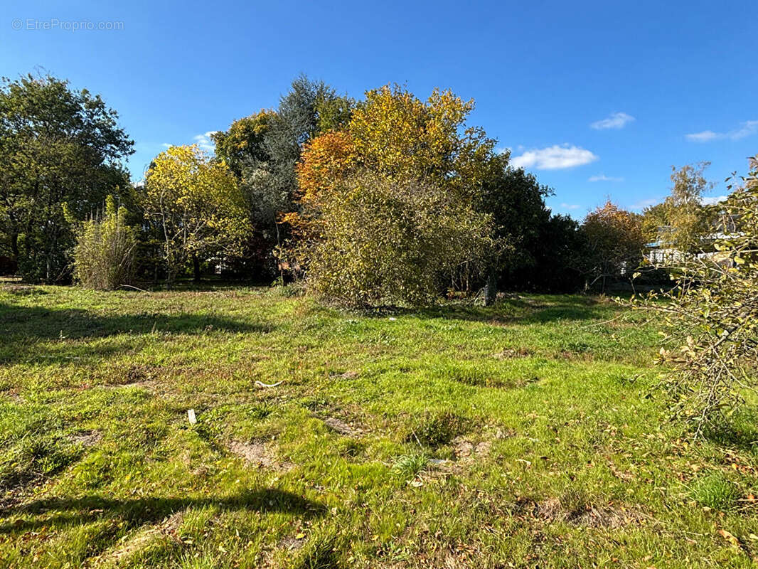 Terrain à ARTANNES-SUR-INDRE