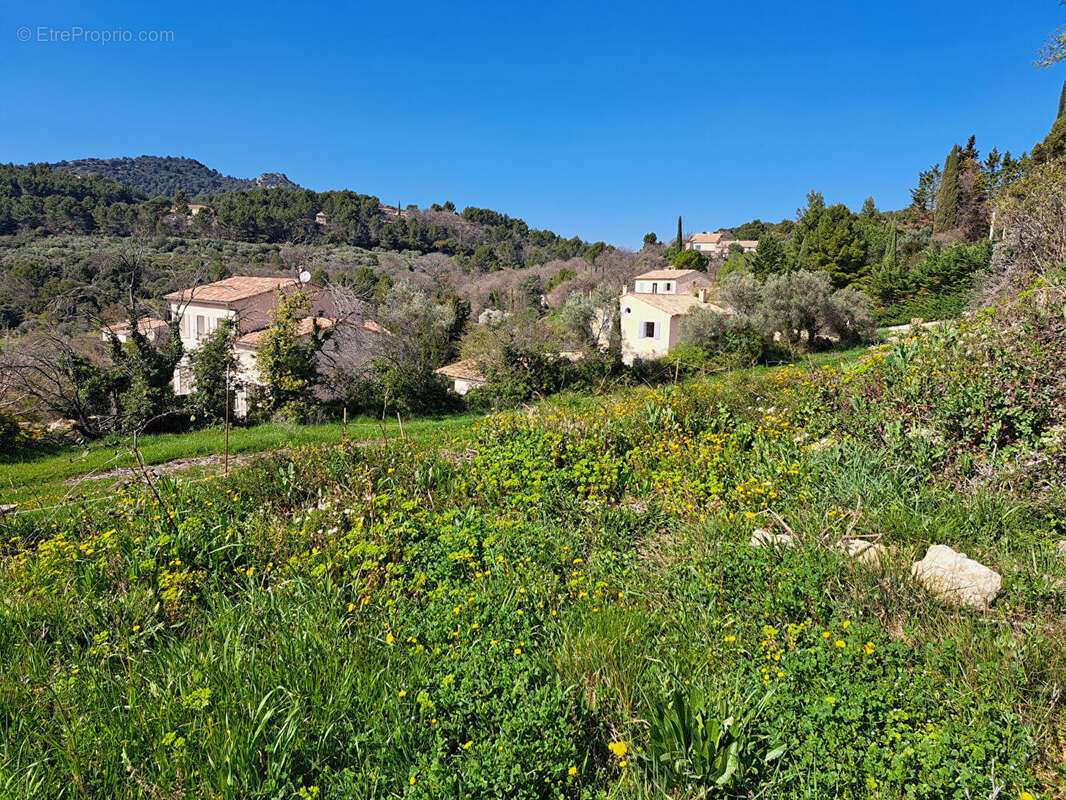 Terrain à LE BARROUX