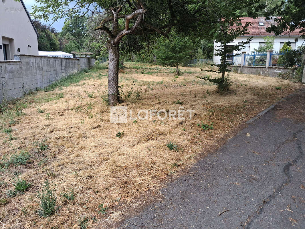 Terrain Manom 4203m2 - photo 3