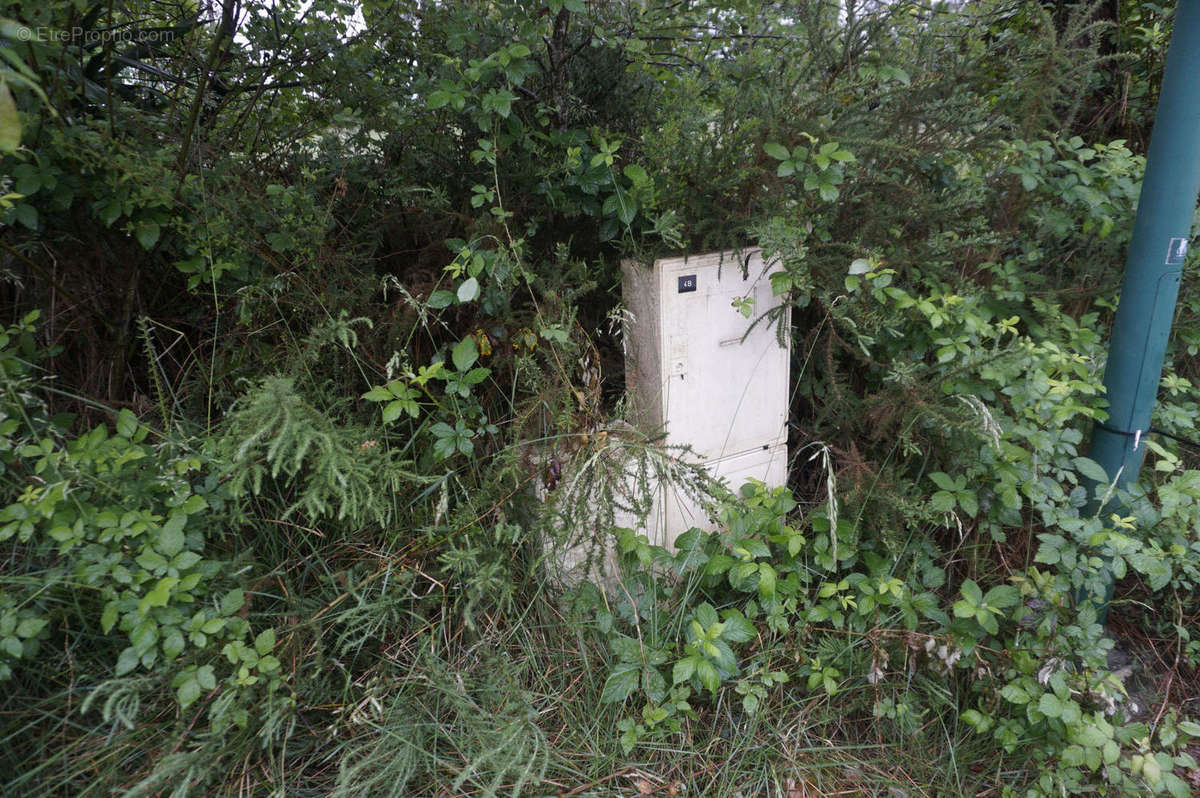 à vendre entre Eauze et Condom terrain 2604 m² - Terrain à EAUZE