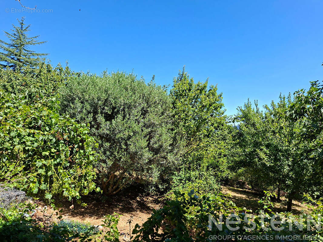 Immeuble à vendre à La Vernarède - 8 pièces, 143 m², terrain 1350 m² - photo 14