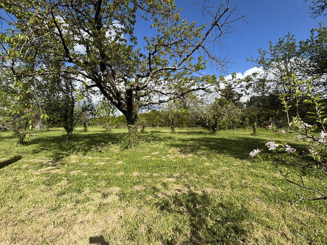Terrain à SAINT-GENOUPH