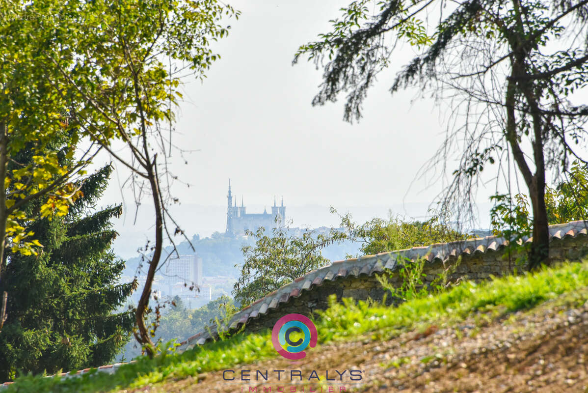Terrain à SAINT-DIDIER-AU-MONT-D&#039;OR