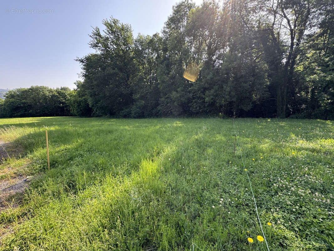 Terrain à MAZAMET
