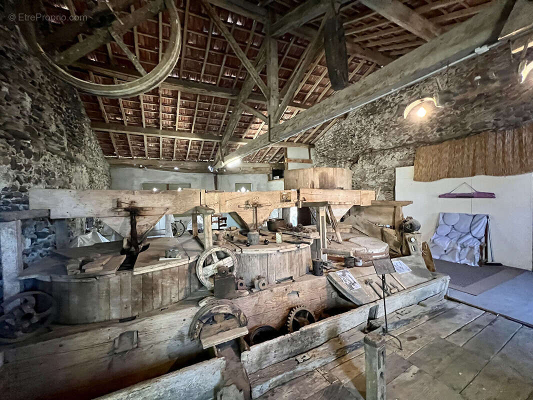Ancien Moulin sur 5 hectares - photo 4