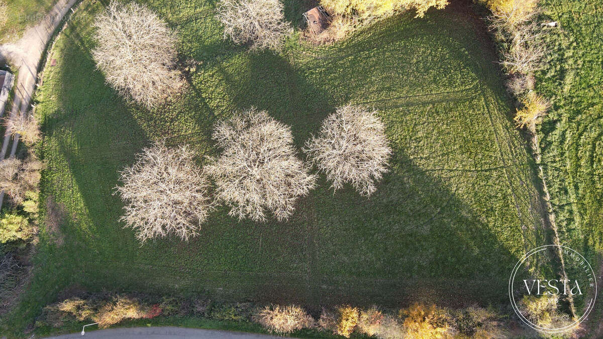Terrain à MONTENOIS
