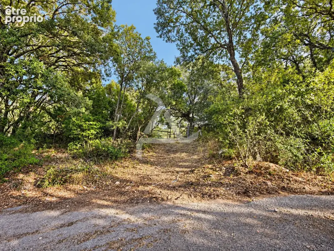 À seulement 3 min de porto-vecchio   terrain de 18 830 m2 avec pc purgé pour villa de 195 m2 avec piscine - photo 3