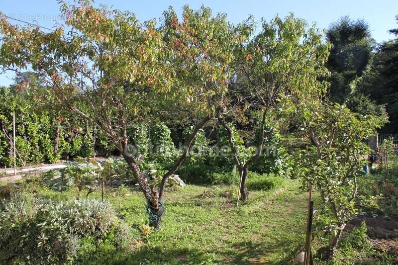 Maison à BAGNERES-DE-BIGORRE