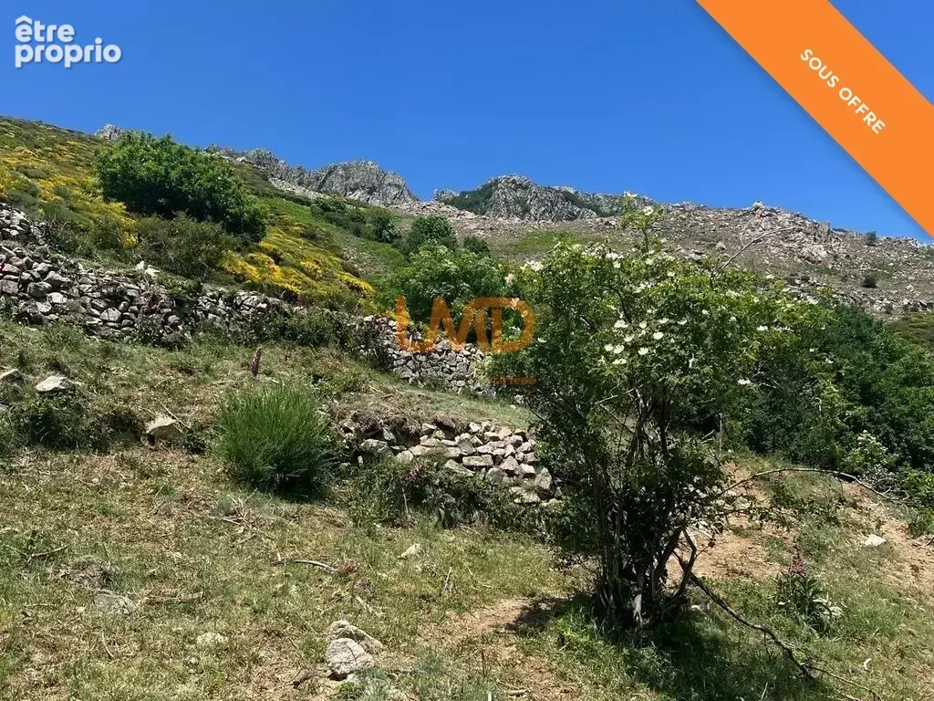 Propriété 54 hectares, rare en Ardèche - photo 17