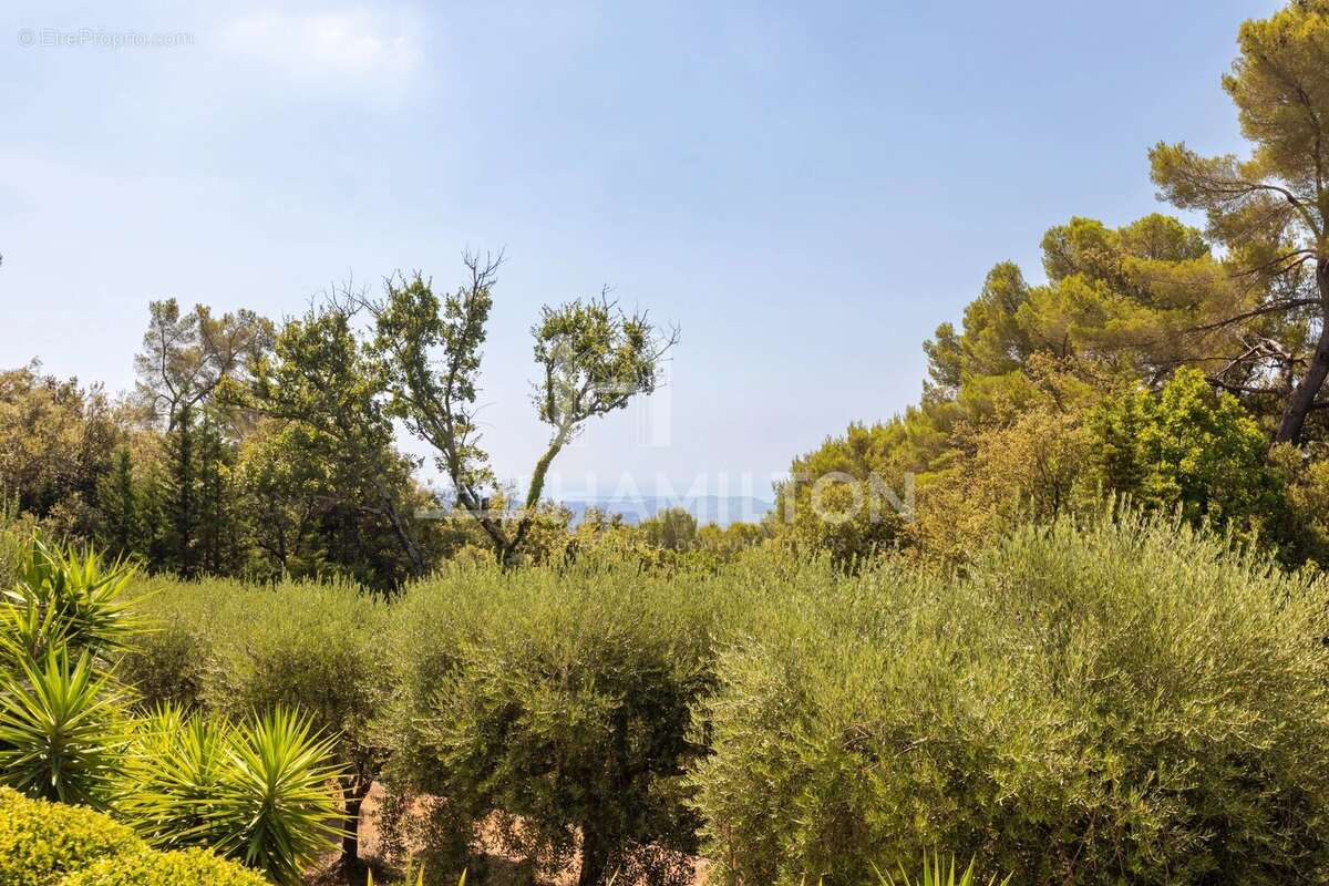 Propriété lovée dans un écrin de verdure - photo 10