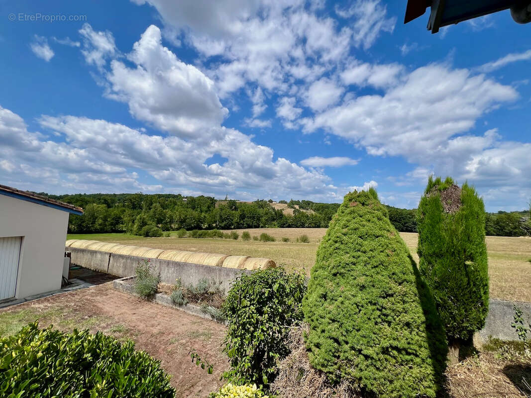 Secteur Villeneuve sur Lot, à la campagne sans aucun vis-à-vis, cette maison pleine de charme et de caractère avec son pigeonnie - photo 10