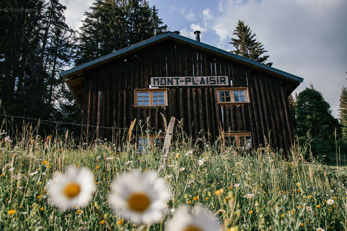 Samoëns - Chalet d'alpage pour les amoureux de la nature - photo 3