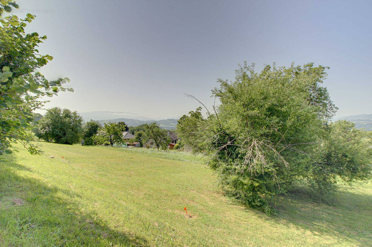 Terrain à SAINT-EUSEBE