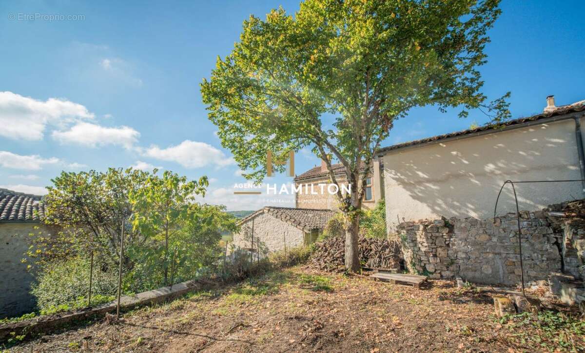 Maison à CORDES-SUR-CIEL