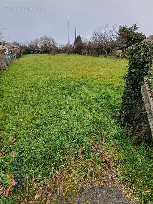 Terrain à PIEGUT-PLUVIERS