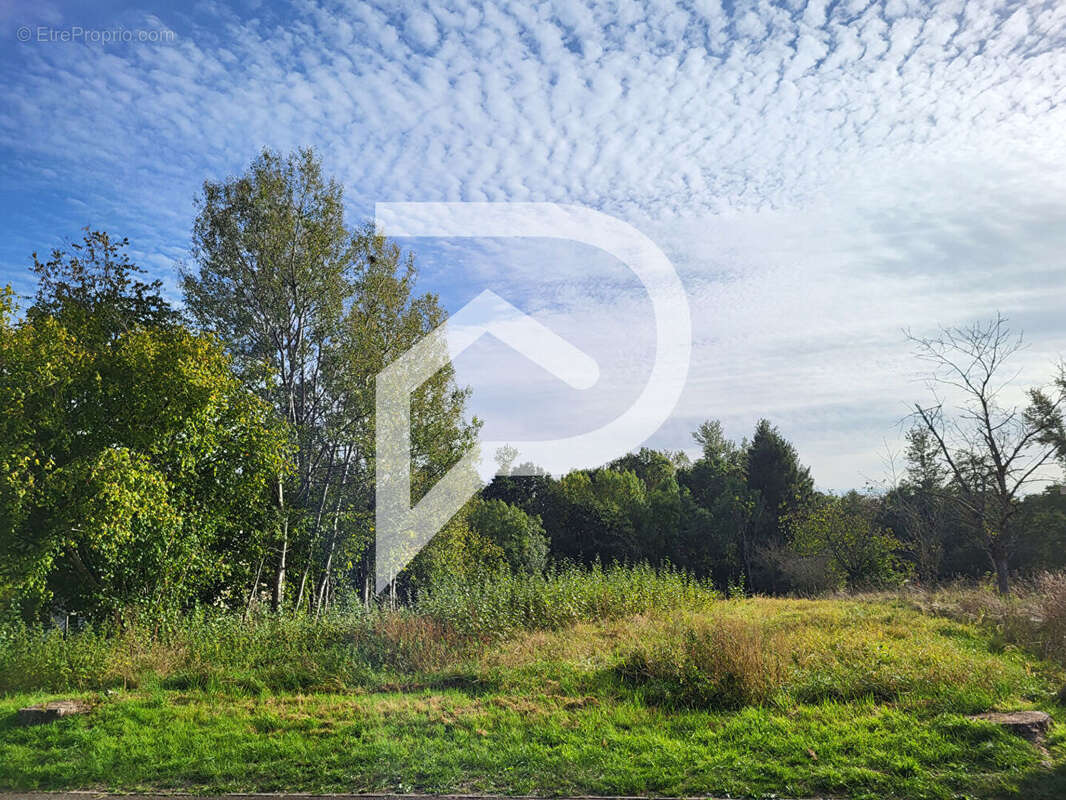 Terrain à BADONVILLER