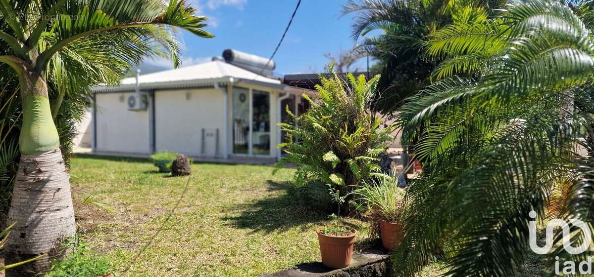 Photo 2 - Maison à SAINTE-ROSE