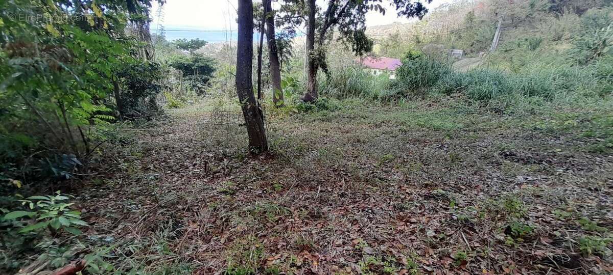 Terrain à CASE-PILOTE