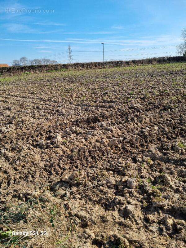 Terrain à SAINT-MARTIN-EN-CAMPAGNE