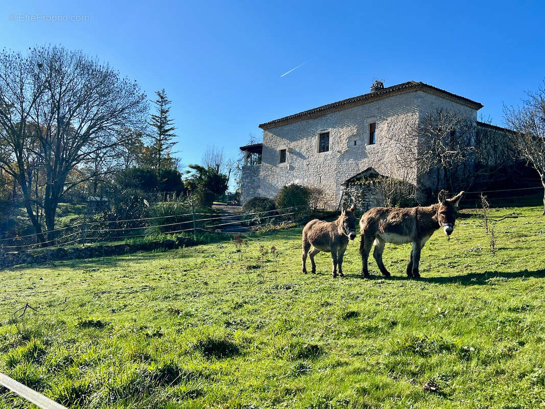 Maison à TOURNON-D'AGENAIS